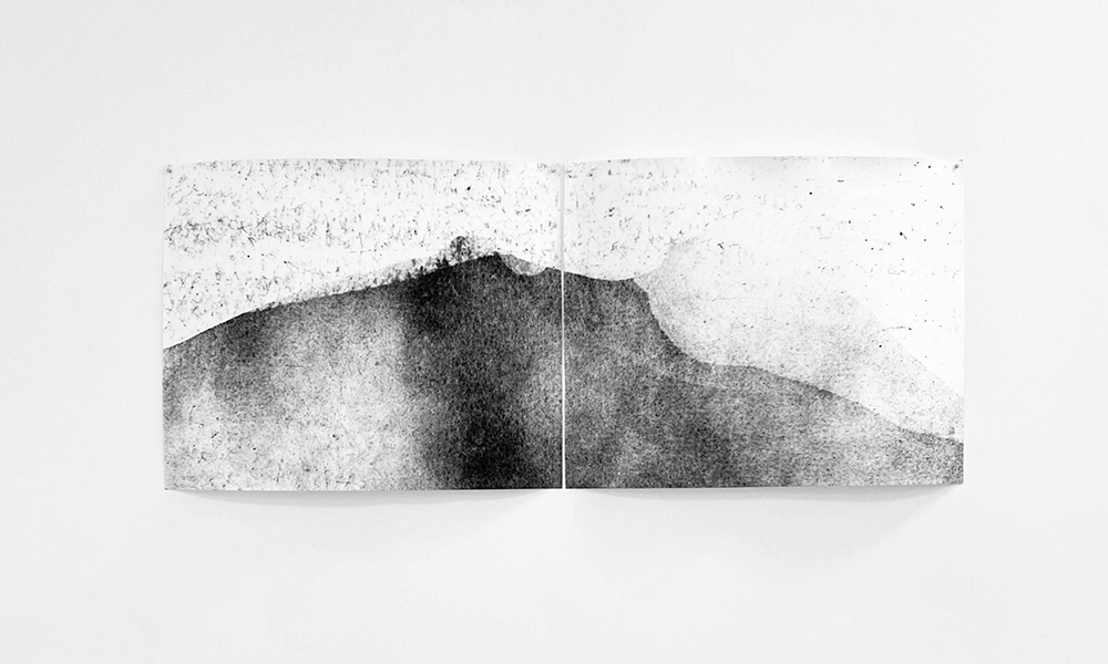 http://lizharrington.com/files/gimgs/54_lizharrington2untitledimitationoflandscapediptych1.jpg